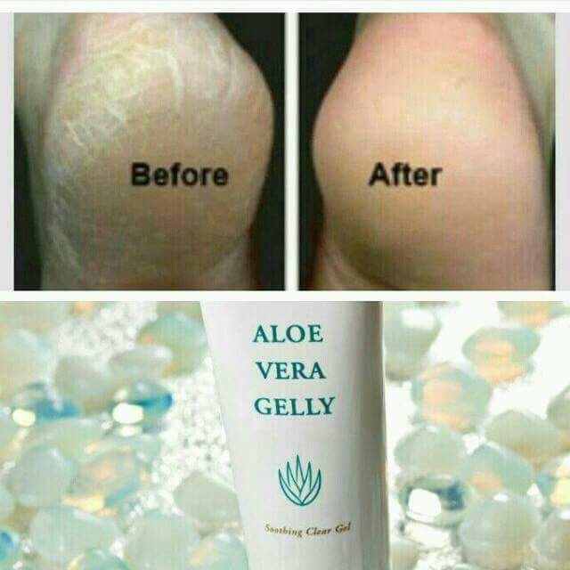 aloe vera stücke kaufen Aloe vera Blatt frisch frisch geliefert main image 1
